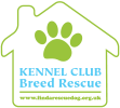 Kennel Club Breed Rescue